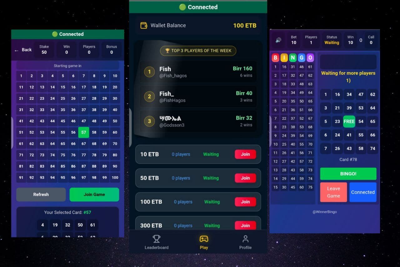 Winner Bingo Bot